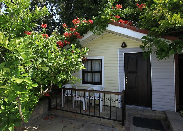 레다 비치 시데