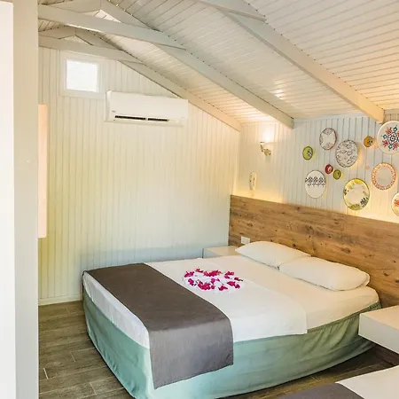 레다 비치 시데