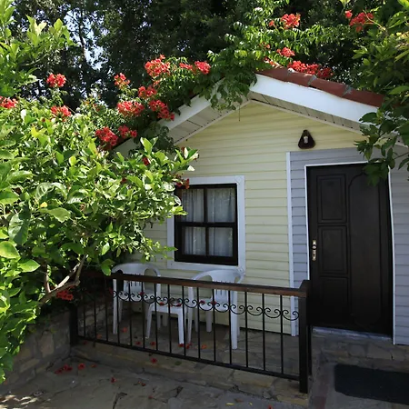 레다 비치 시데