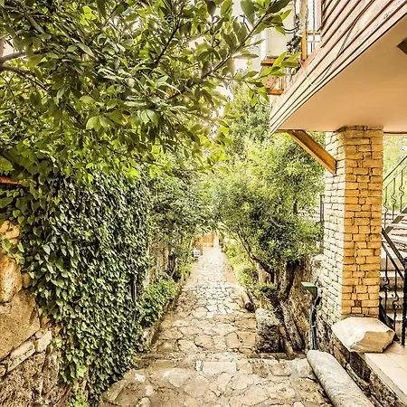 레다 비치 호텔 시데