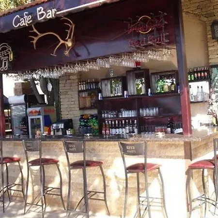 레다 비치 시데