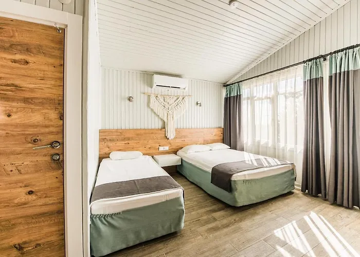 بيتش ليدا 2*