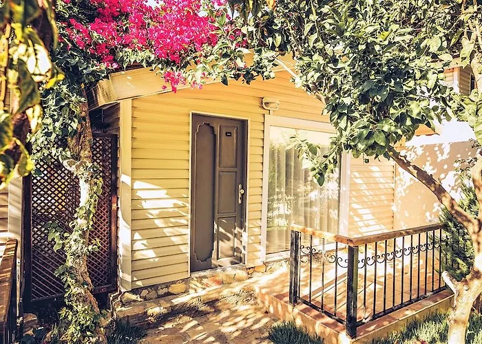 بيتش ليدا فندق