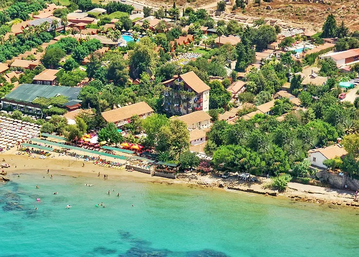 بيتش ليدا 2*