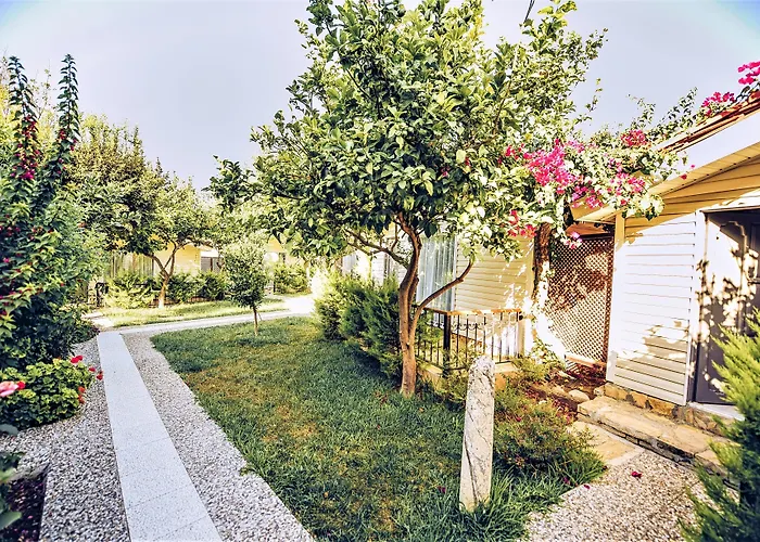 بيتش ليدا سيدي