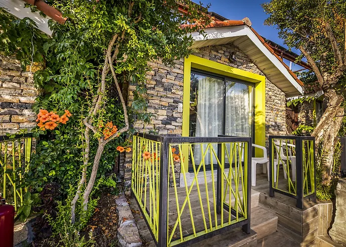 بيتش ليدا سيدي