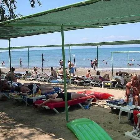 Leda סייד
